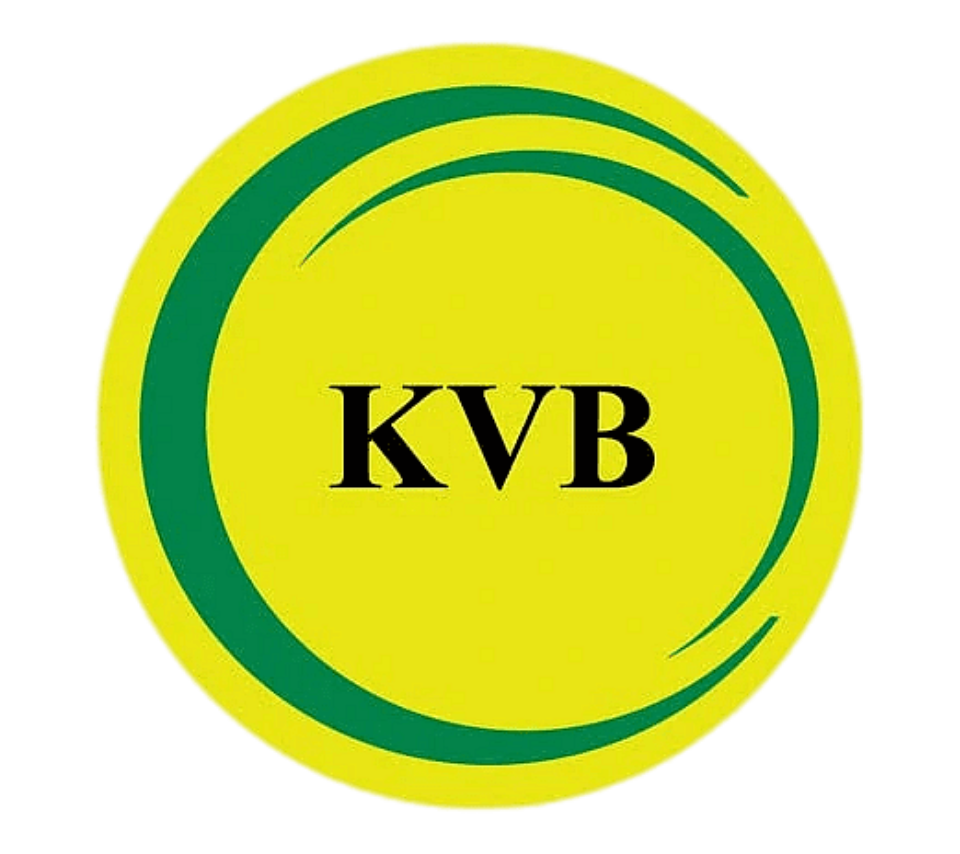 Karur Vysya Bank loan optimization